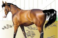 Одеваем Лошадку - Horse Show 2